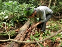 akha (12)